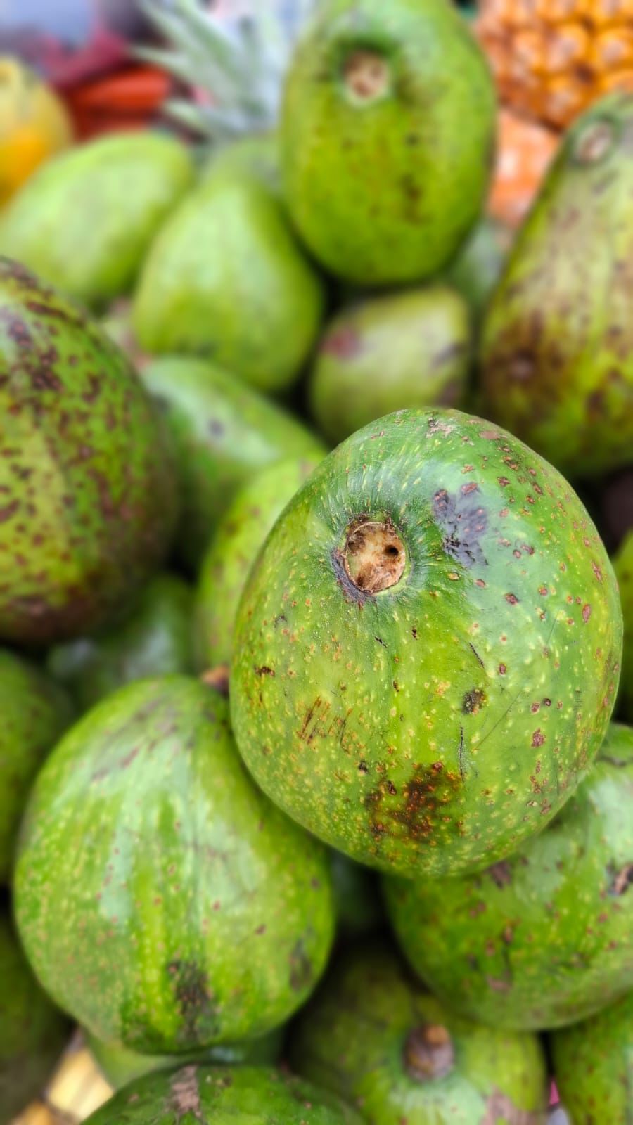 creative-03 WhatsApp Image 2026 04 11 At 16.35.37 1