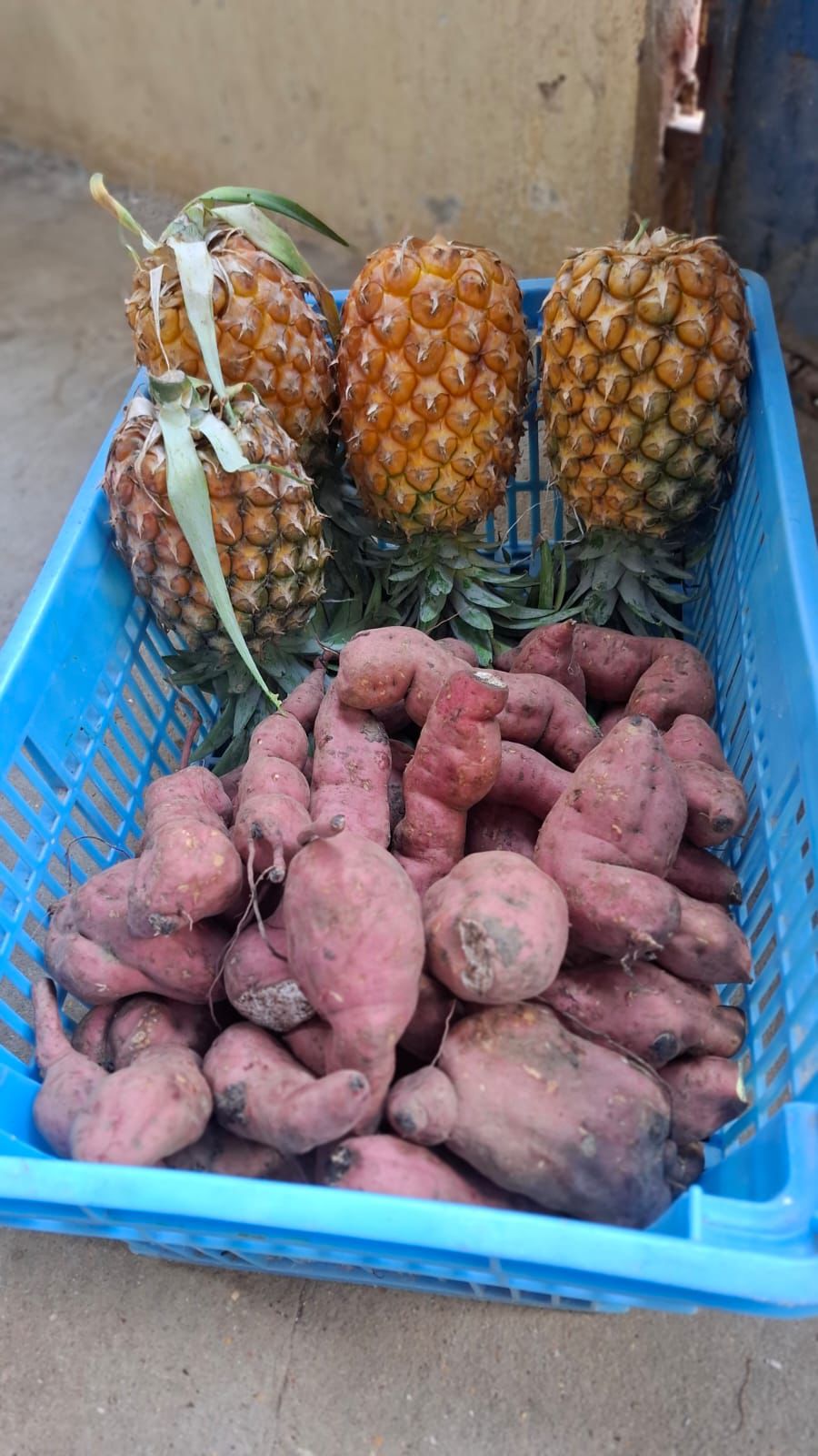 creative-02 WhatsApp Image 2026 04 11 At 16.35.37 2