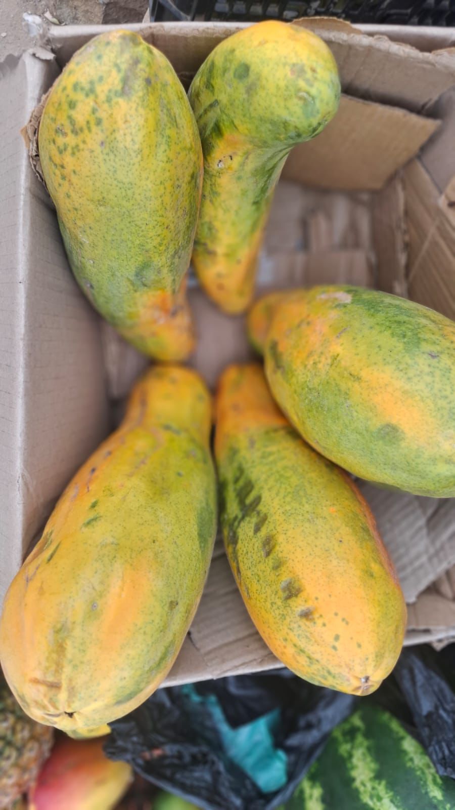 creative-01 WhatsApp Image 2026 04 11 At 16.35.37