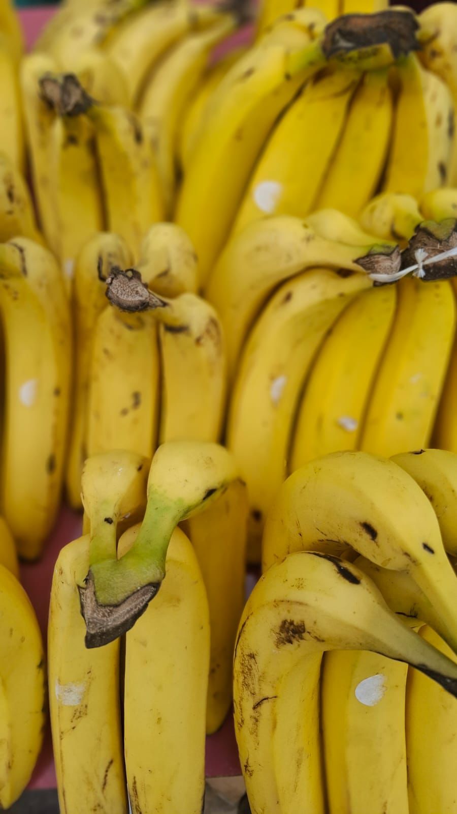 Crafting Captivating Headlines: Your awesome post title goes here