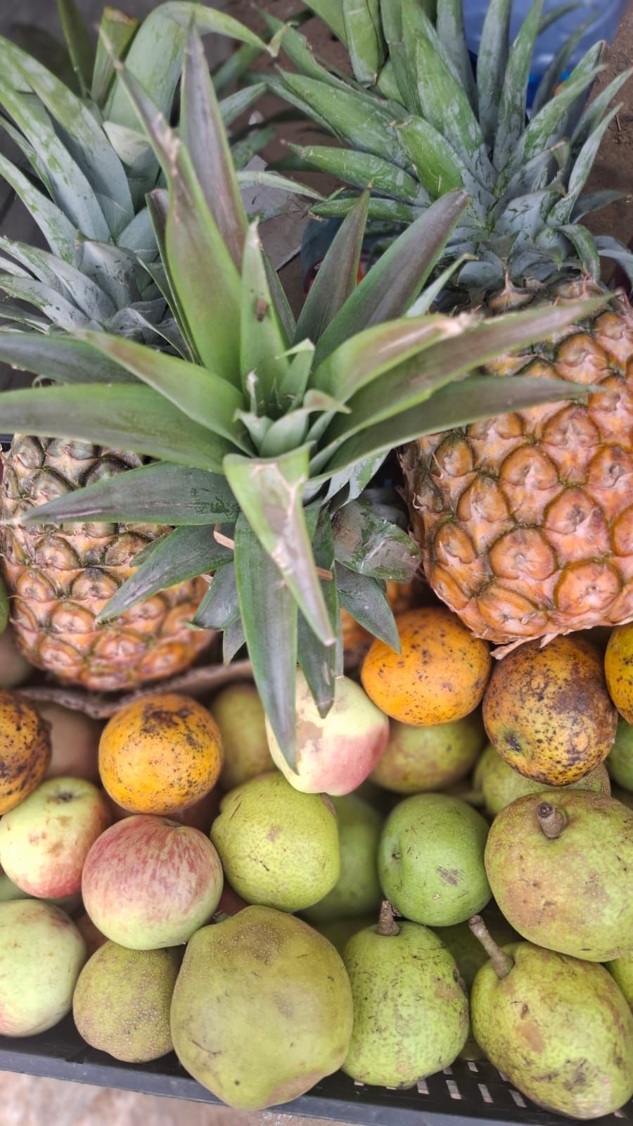 Mastering the First Impression: Your intriguing post title goes here