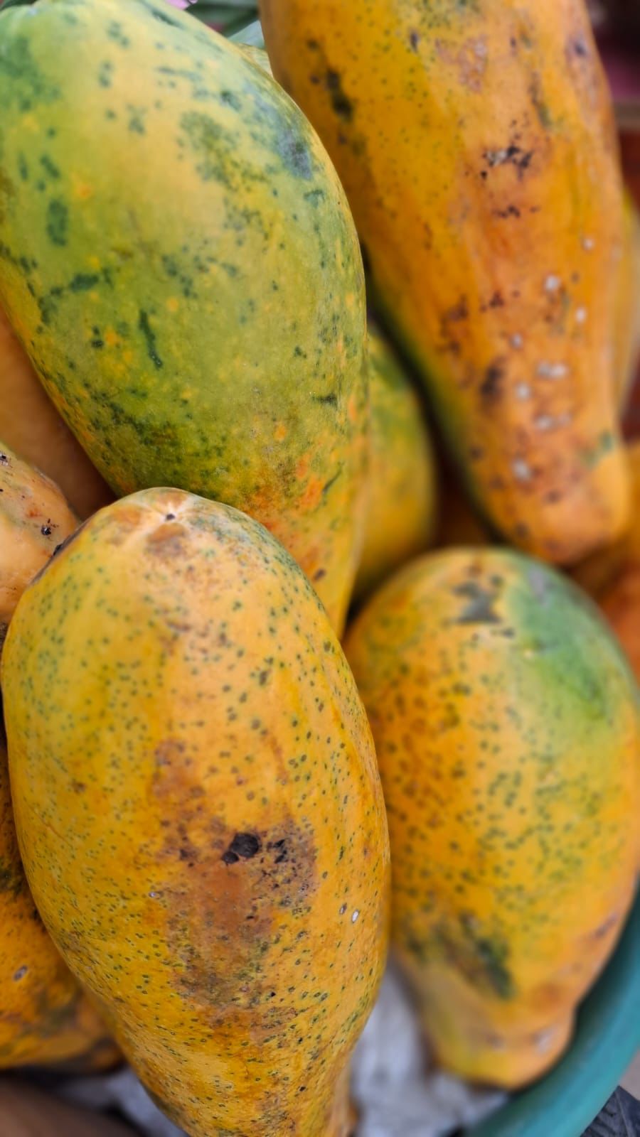 WhatsApp Image 2026 04 11 At 16.35.39 2