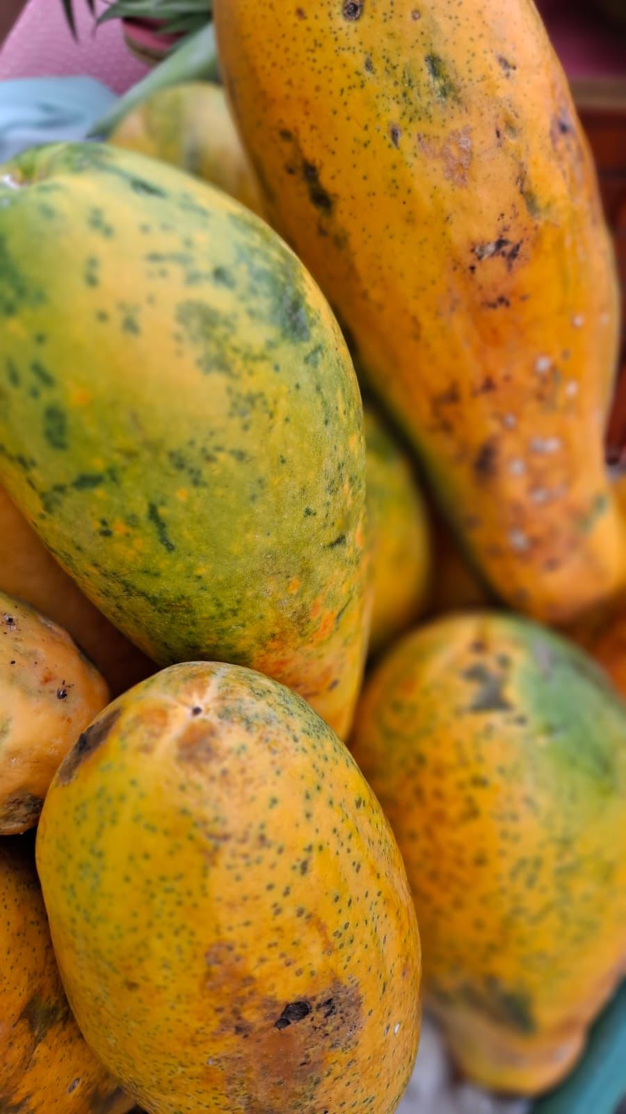 WhatsApp Image 2026 04 11 At 16.35.39