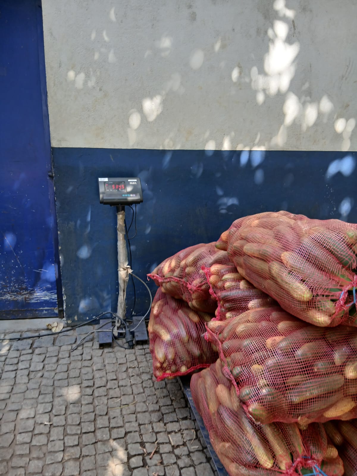 brand-03 WhatsApp Image 2026 04 11 At 16.36.10 2