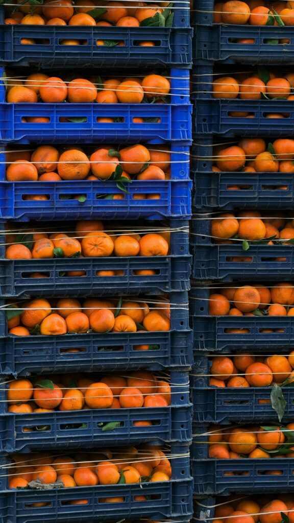 pexels photo 36853837 36853837 Vertical stacks of blue crates filled with fresh oranges ready for distribution.
